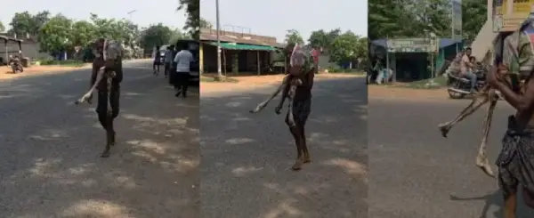 पैसों के लिए कब्र से कंकाल तक उठा लाया भाई, बैंक पहुंचते ही मच गया हड़कंप