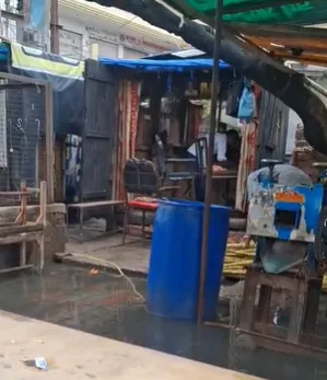 हापुड़ में नाले के पानी में गन्ने धोने का वीडियो वायरल, जांच की मांग
