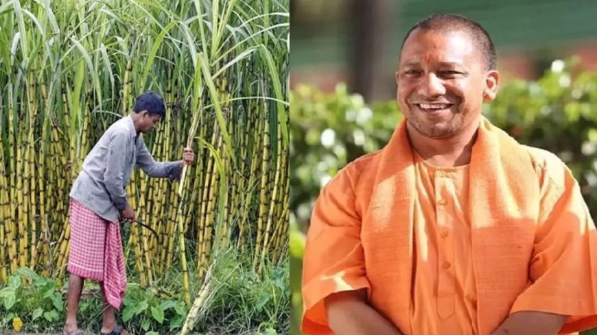 किसानो के हित में योगी सरकार का बड़ा निर्णय : अब गन्ना भुगतान सीधे बैंक खाते में, समितियों की भूमिका खत्म