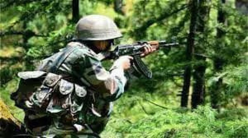 सीमा पर सतर्क प्रहरी: बीएसएफ ने 13 बांग्लादेशियों की घुसपैठ की कोशिश की नाकाम